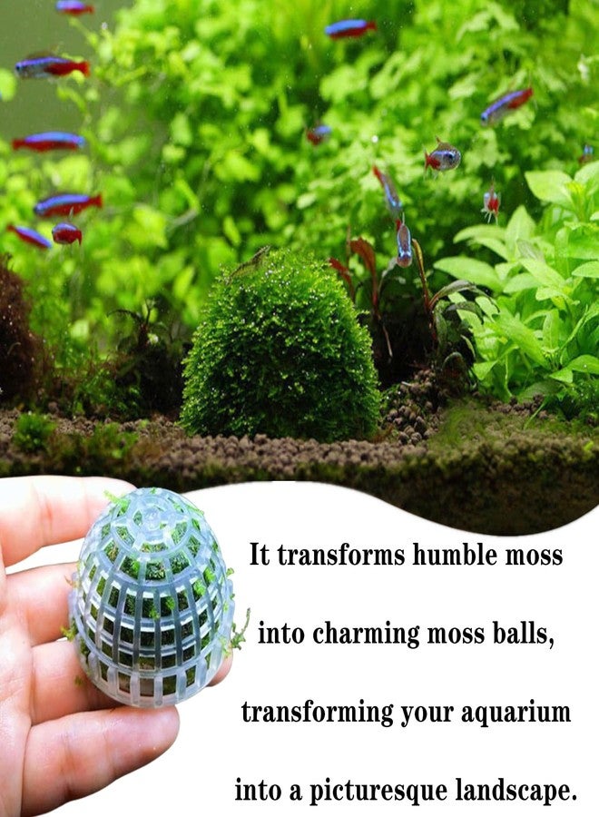 SHUNGXINYI 3 PCS Aquarium Moss Ball Holder Professional Aquarium Plant Holder Plastic Moss Ball Fish Tank Plant Holder with Filter Stone for Fish Tank Accessories - Image 4